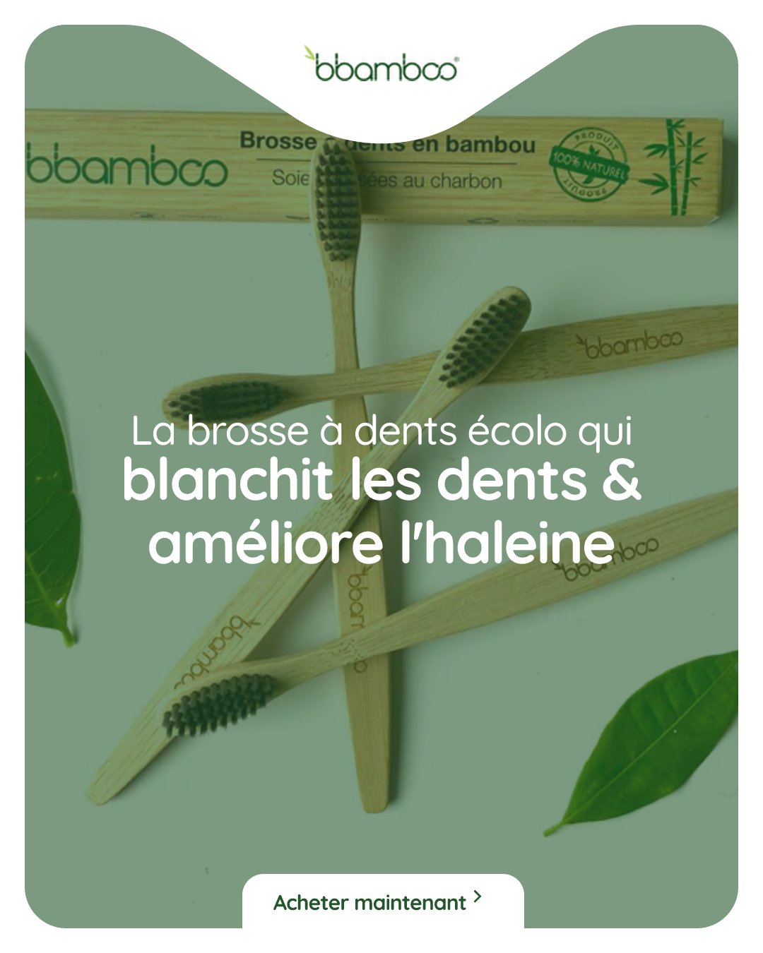 Les avantages d’utiliser une brosse à dents en bambou par rapport à une brosse à dents classique - Bbamboo
