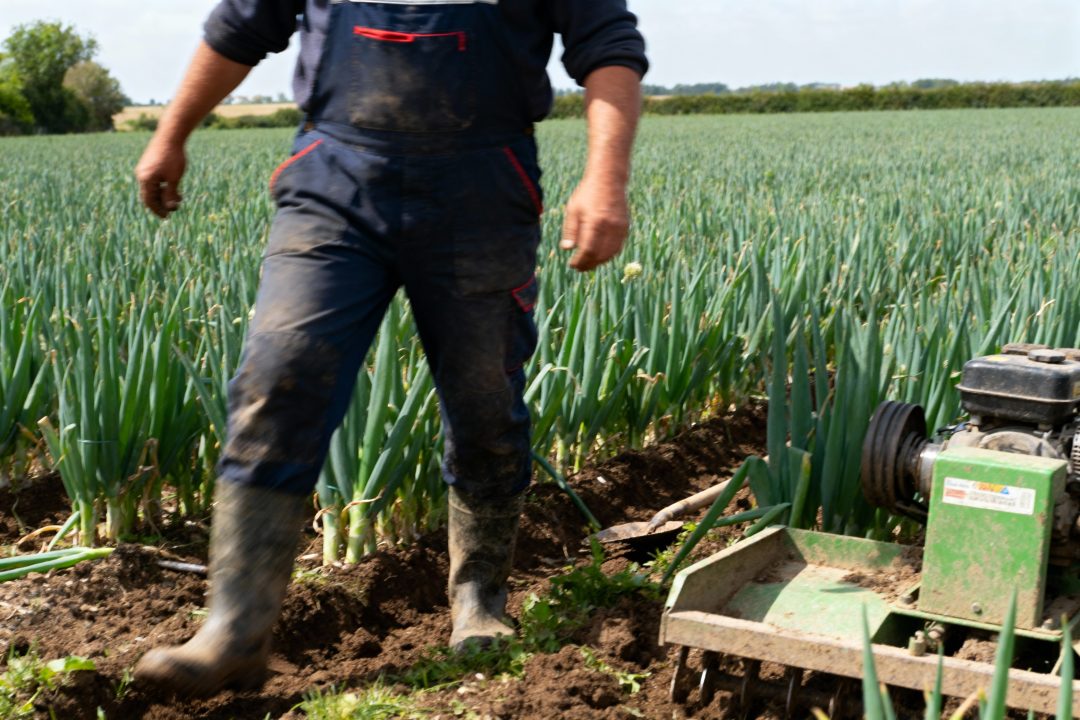 agriculture raisonnée