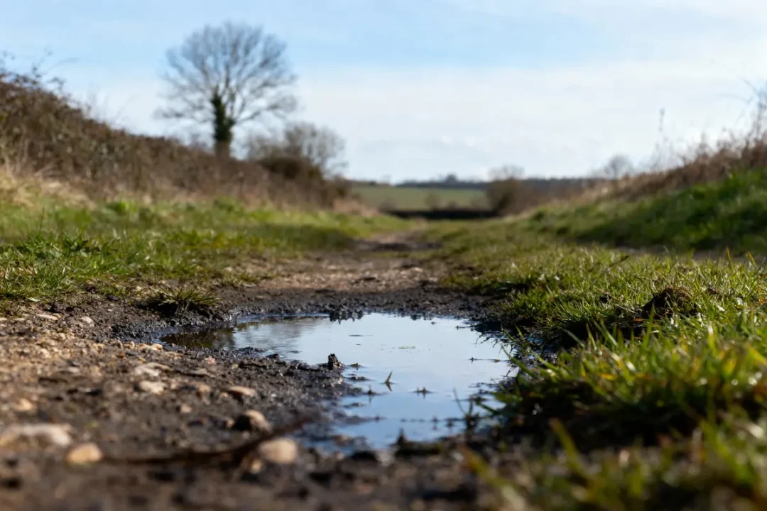 Chemin boueux avec flaque d'eau au premier plan, campagne verdoyante et arbre lointain sous ciel bleu.