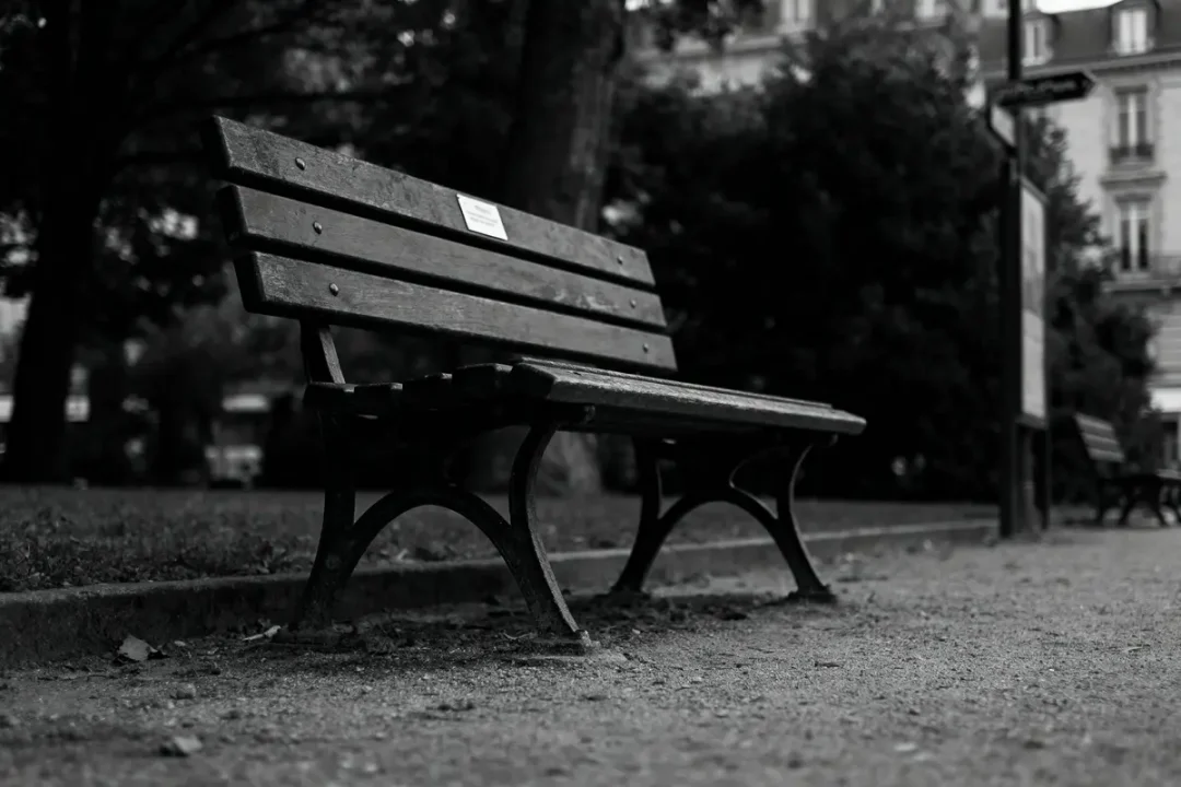 Banc en bois vide dans un parc, en noir et blanc, arbres et bâtiments en arrière-plan.