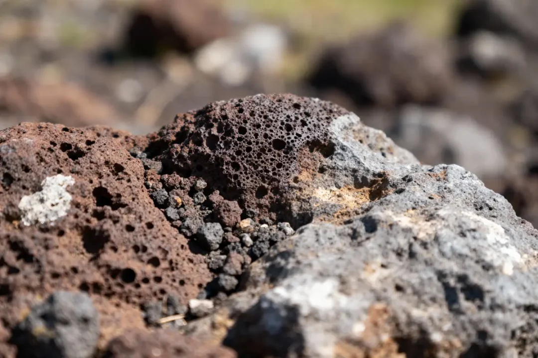 Roche volcanique poreuse et texturée, couleurs brun et gris, capture en gros plan.