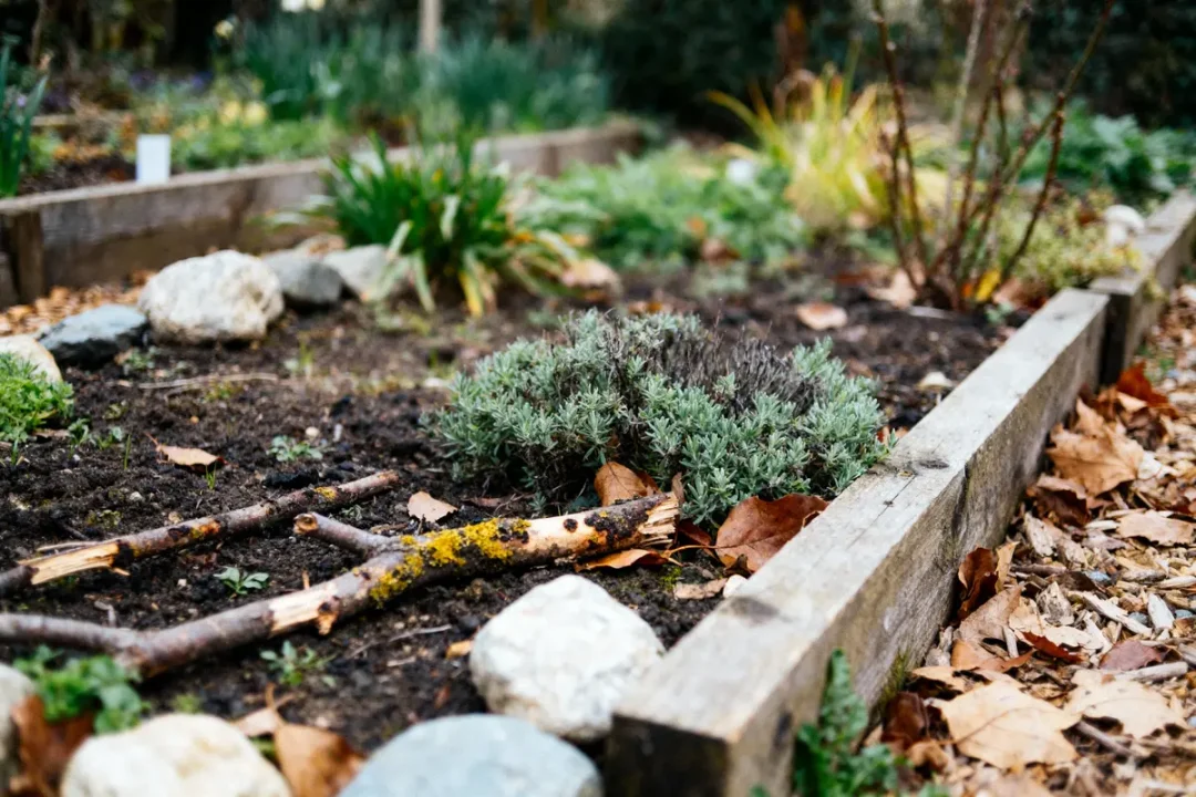 Jardin en automne, sol couvert de feuilles mortes, branches, plantes vertes, cadre en bois, pierres autour.