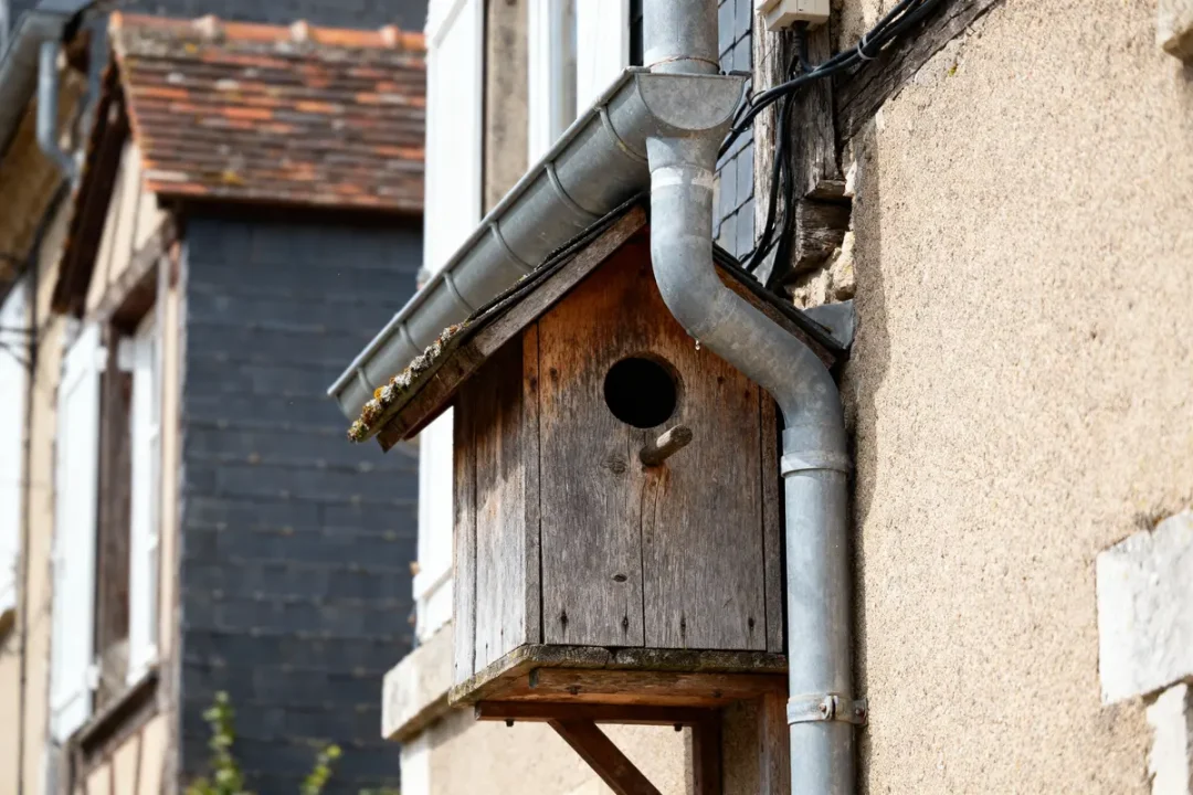 Nichoir en bois fixé à un mur, sous une gouttière métallique, proche de maisons en arrière-plan flou.