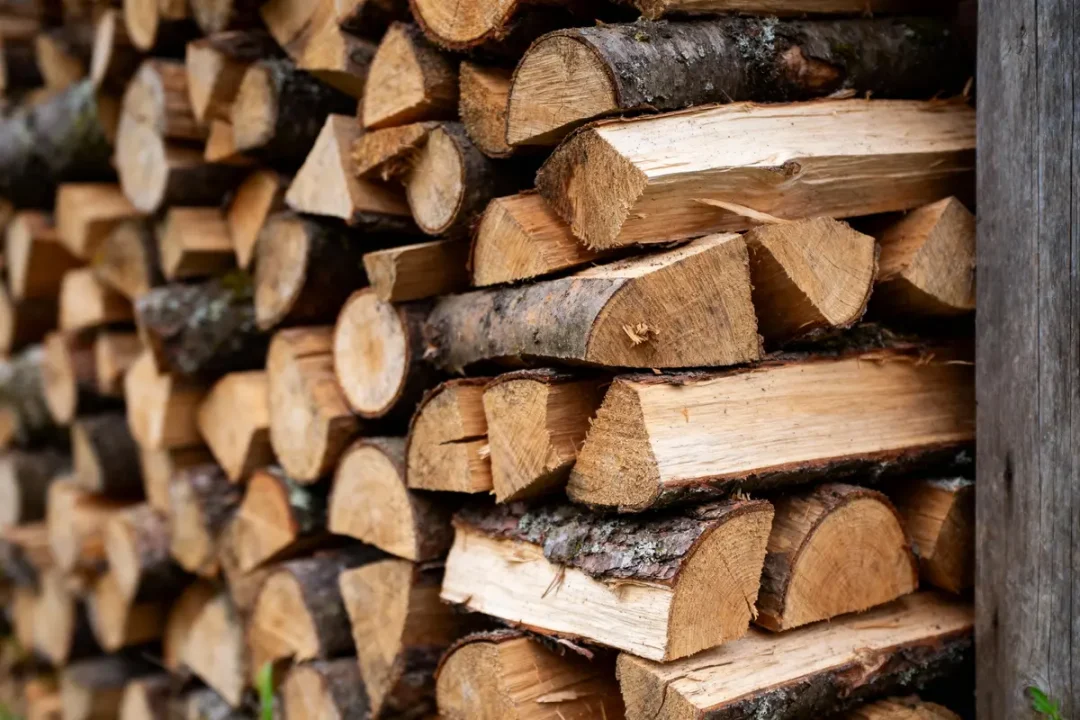 Pile de bûches de bois empilées, vue rapprochée. Bois coupé avec écorce, prêt pour chauffage.