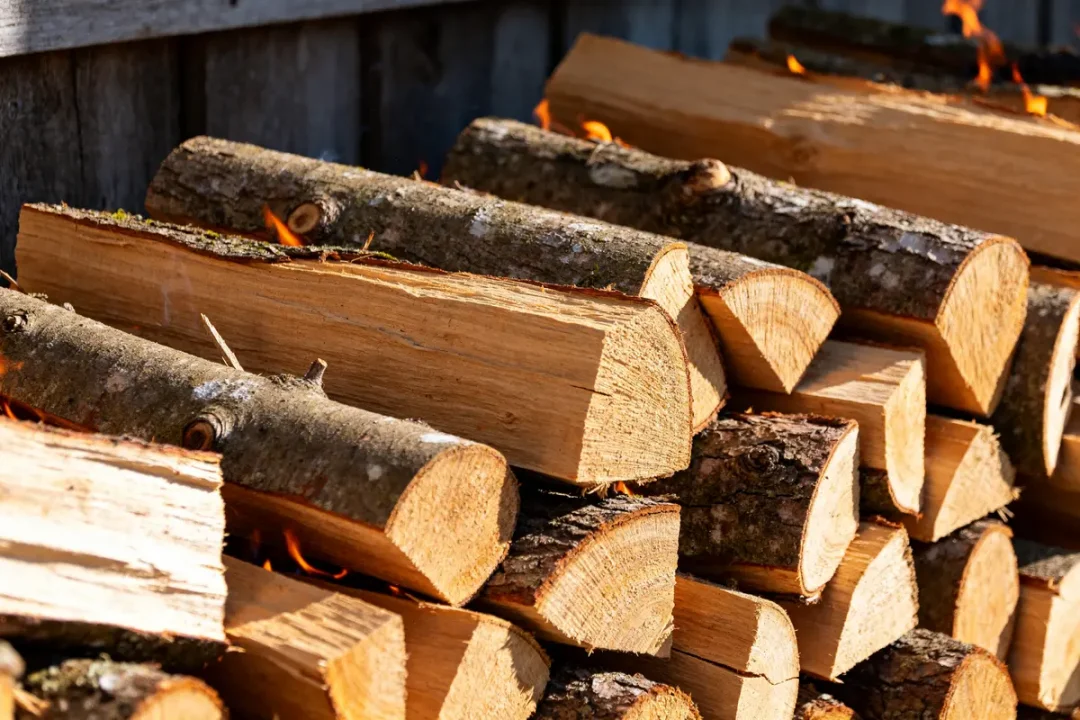 Bûches d'albizia empilées, idéales comme bois de chauffage efficace et durable