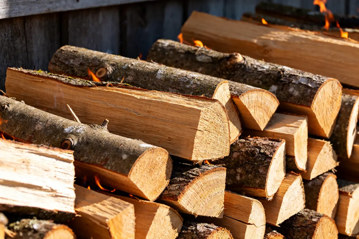 Bûches d'albizia empilées, idéales comme bois de chauffage efficace et durable