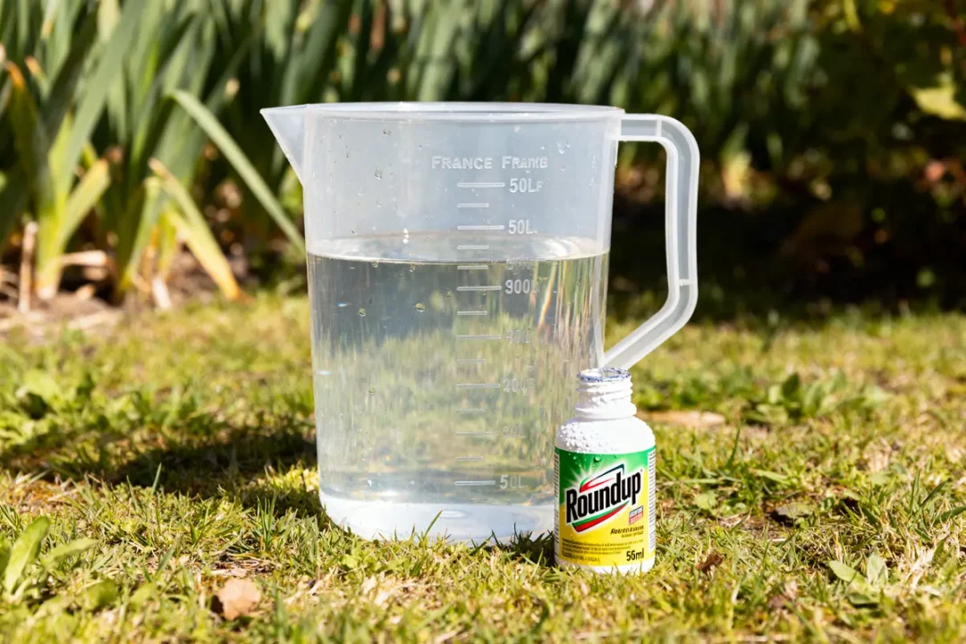 Mesure du dosage de Roundup pour 5 litres d'eau avec un verre doseur plastique
