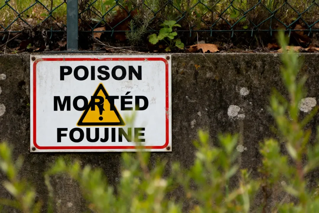 Panneau avertissant de poison mortel pour fouine sur un mur de béton extérieur