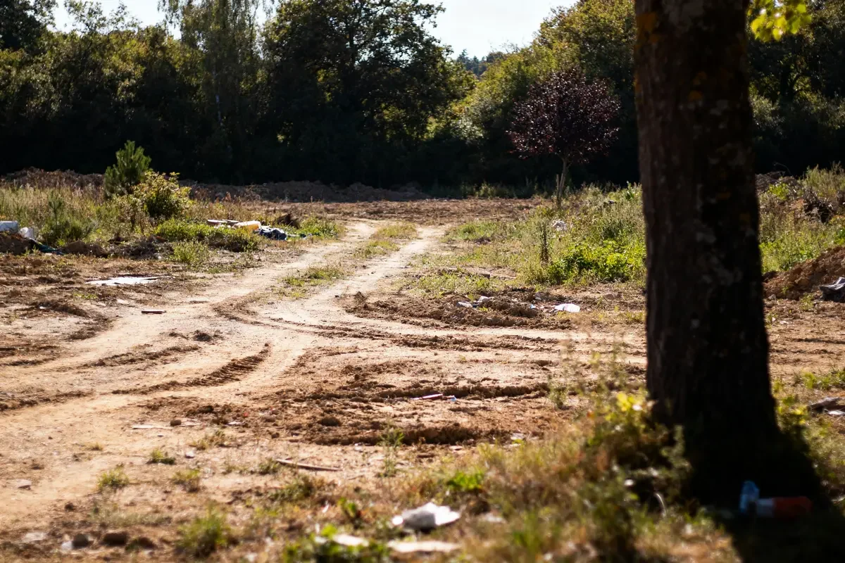 Chemin de terre entouré d'arbres, avec déchets épars sur le sol, sous un ciel ensoleillé.